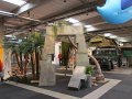 IMG_5152