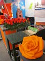 IMG_5165
