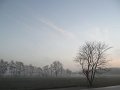 IMG_5263