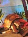 IMG_5368