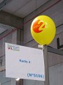 IMG_5385