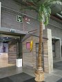 IMG_5460