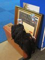 IMG_5481