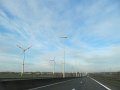 IMG_6263