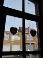IMG_6284