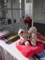 IMG_6286