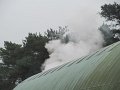 IMG_6985