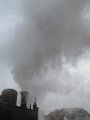 IMG_6994