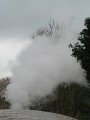IMG_7168