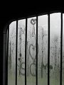 IMG_7169