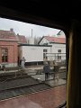 IMG_7187