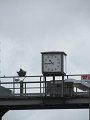 IMG_7007