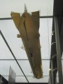 IMG_7134