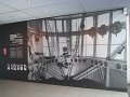 IMG_7238