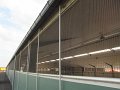 IMG_7782