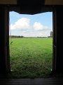 IMG_7810