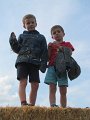 IMG_7817