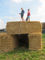 IMG_7818