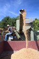 IMG_7360