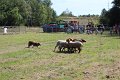 IMG_7367