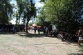 IMG_7417
