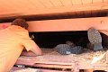 IMG_7487