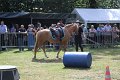 IMG_7529