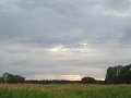 530