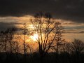 20180337