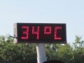 631