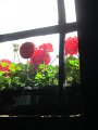057