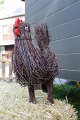IMG_8678