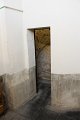 IMG_8710