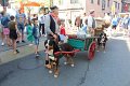 IMG_8728