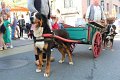 IMG_8729