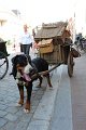 IMG_8812
