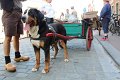 IMG_8813