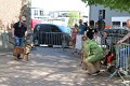 IMG_8835