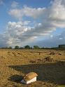 IMG_7080