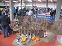 IMG_1577