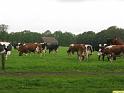 IMG_4581